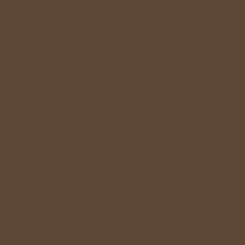 Coffee Bean Color Swatch